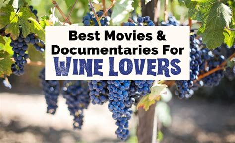 26 Fantastic Wine Movies & Documentaries To Watch Now.